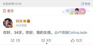 绑定娱乐圈吃瓜系统小说,绑定吃瓜系统，开启全民追剧狂欢之旅