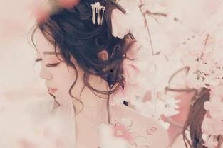 古风 网红,网红古风传奇